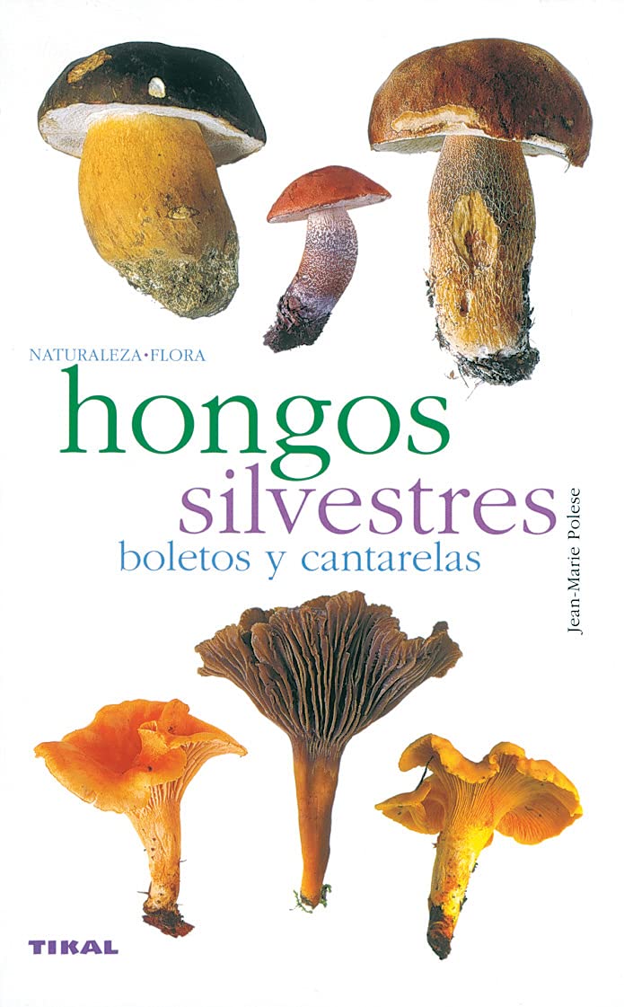 Boletos y cantarelas Business & Technology