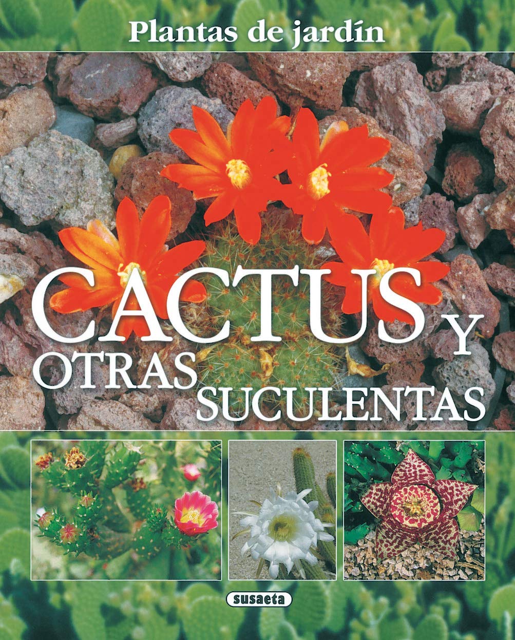 Cactus y otras suculentas book