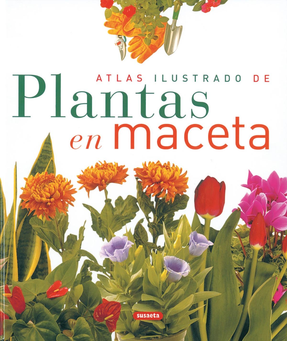 Atlas ilustrado de plantas en maceta book