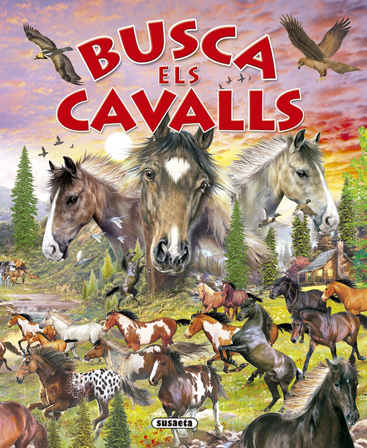 Busca els cavalls i ponis Tiptoi & Games
