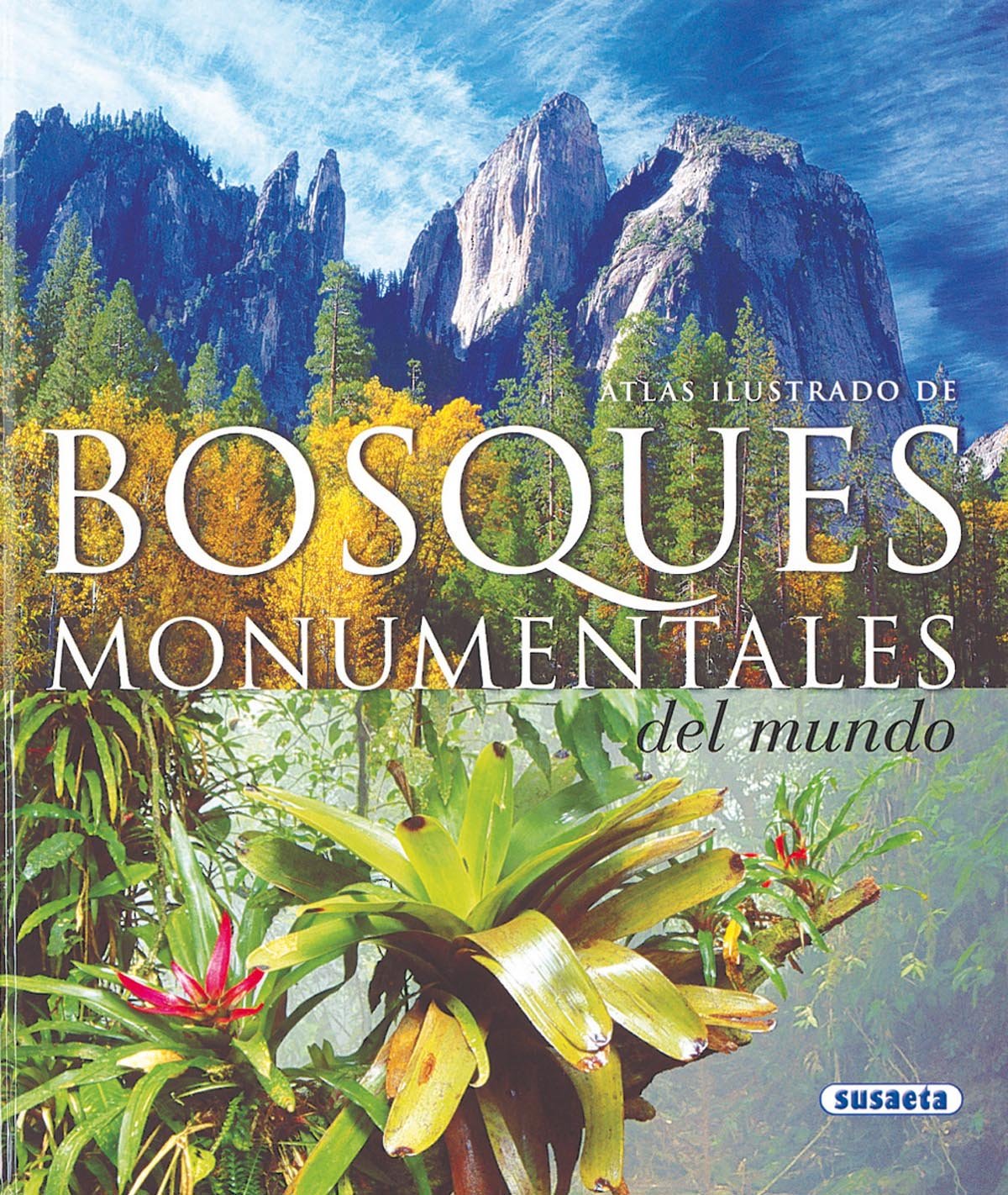 Atlas ilustrado de bosques monumentales del mundo/ Illustrated Atlas of monumental forests in the world book