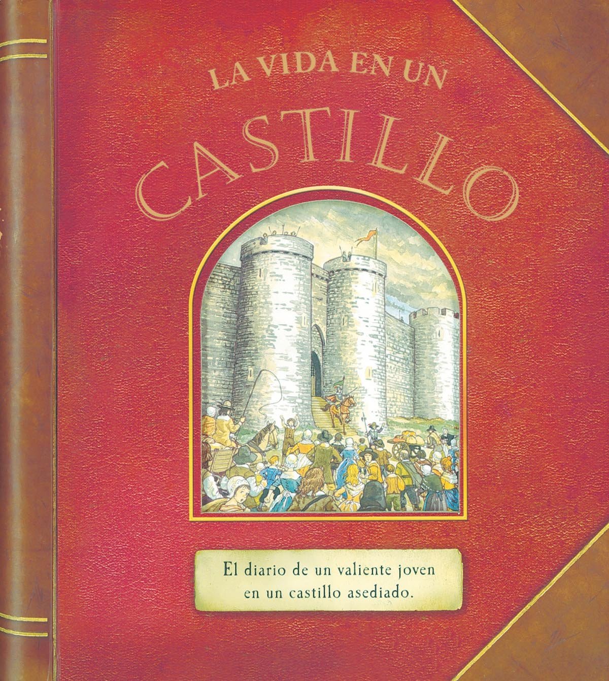 La vida en un castillo (Diarios con historia) book