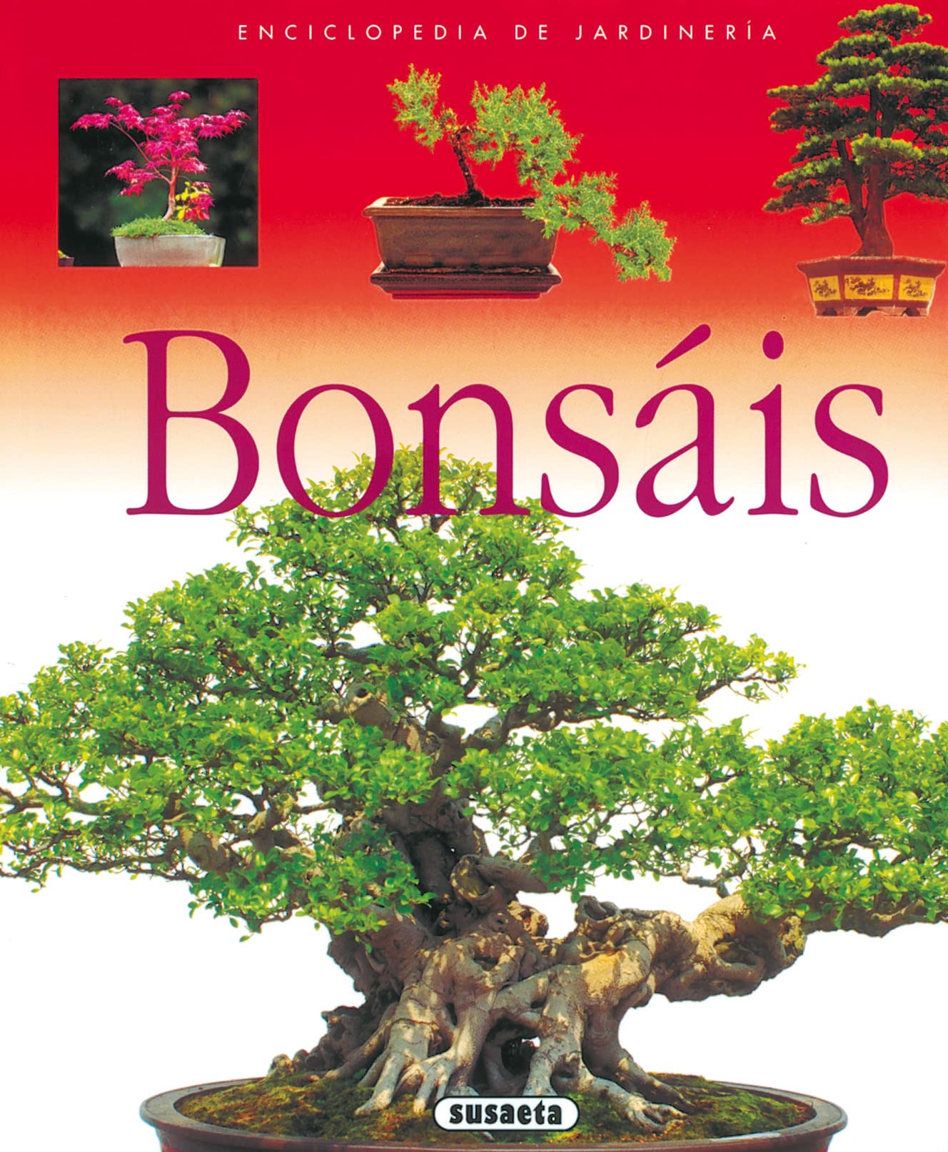 Bonsáis : enciclopedia de la jardinería Leisure, Home & Garden