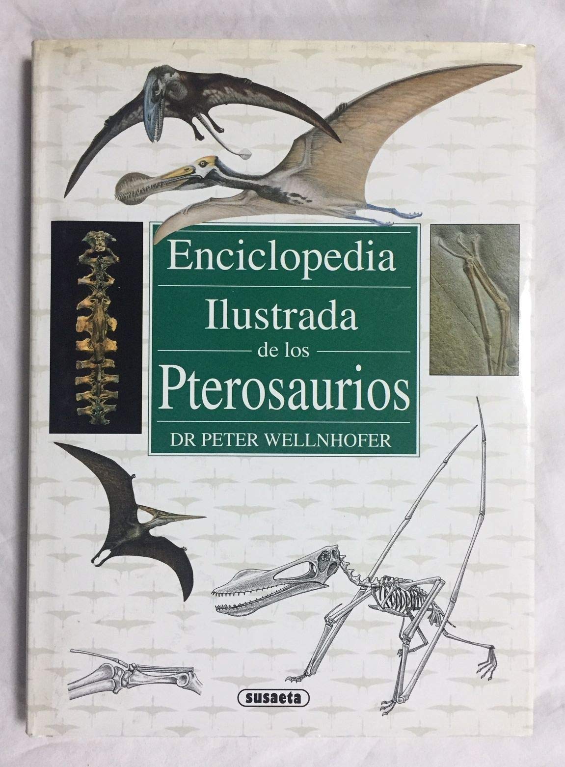 La bella y la bestia Books