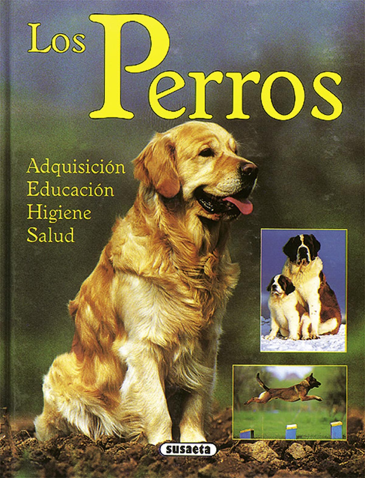 Los perros : adquisición, educación, higiene, y salud (Tiempo Libre) Books