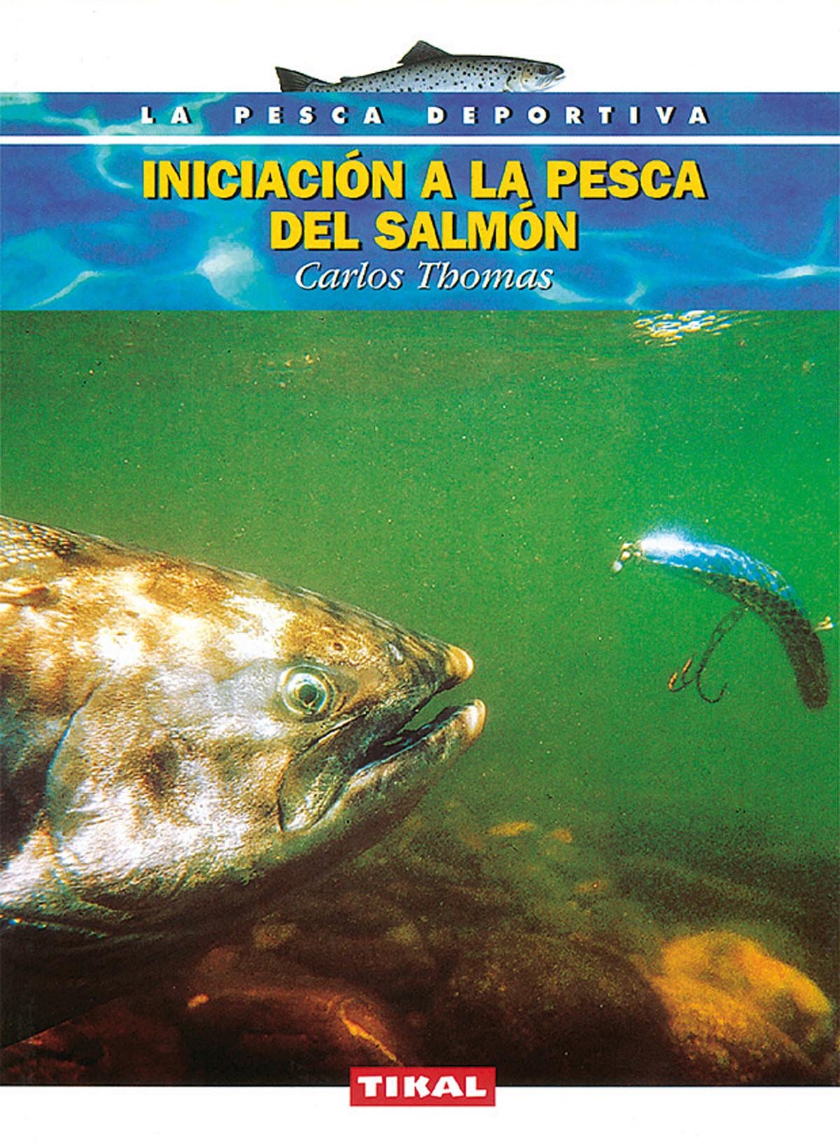 Iniciación a la pesca del salmón Leisure & Fun
