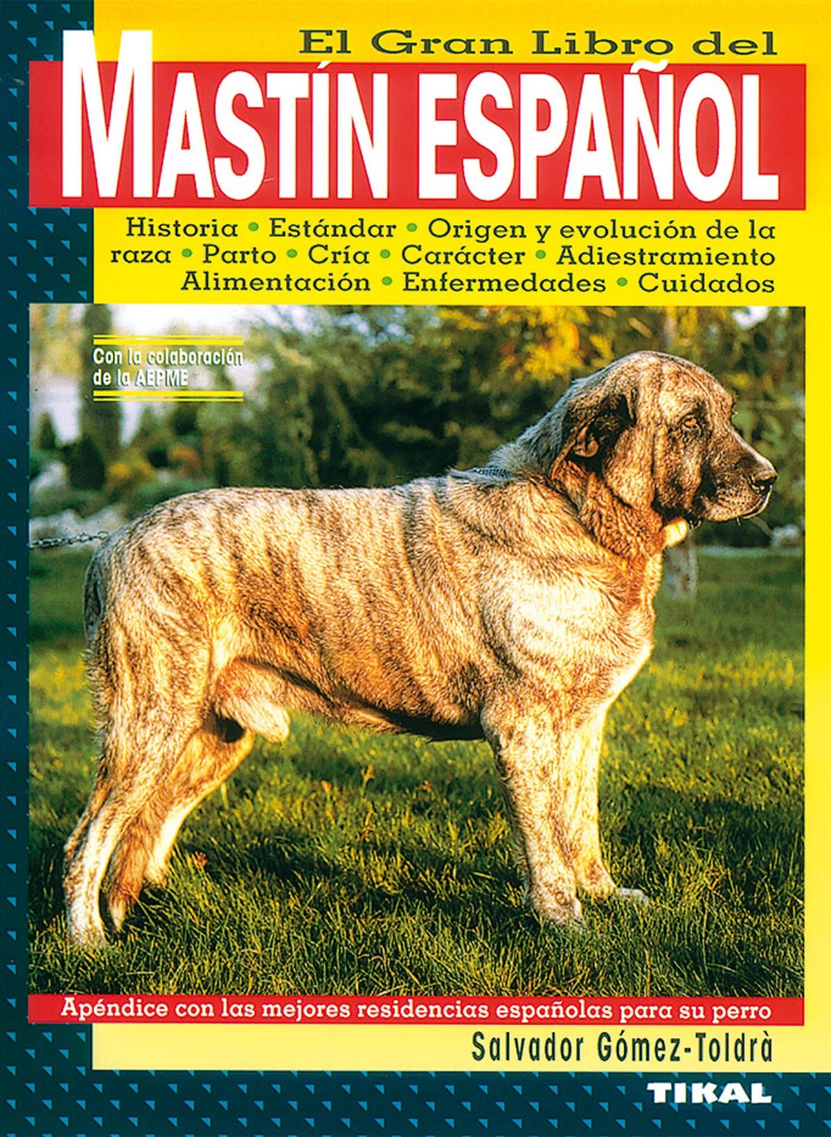 Mastín español Books