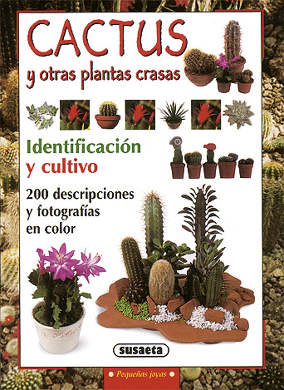 Cactus (Pequeñas Joyas) Garden & Plants