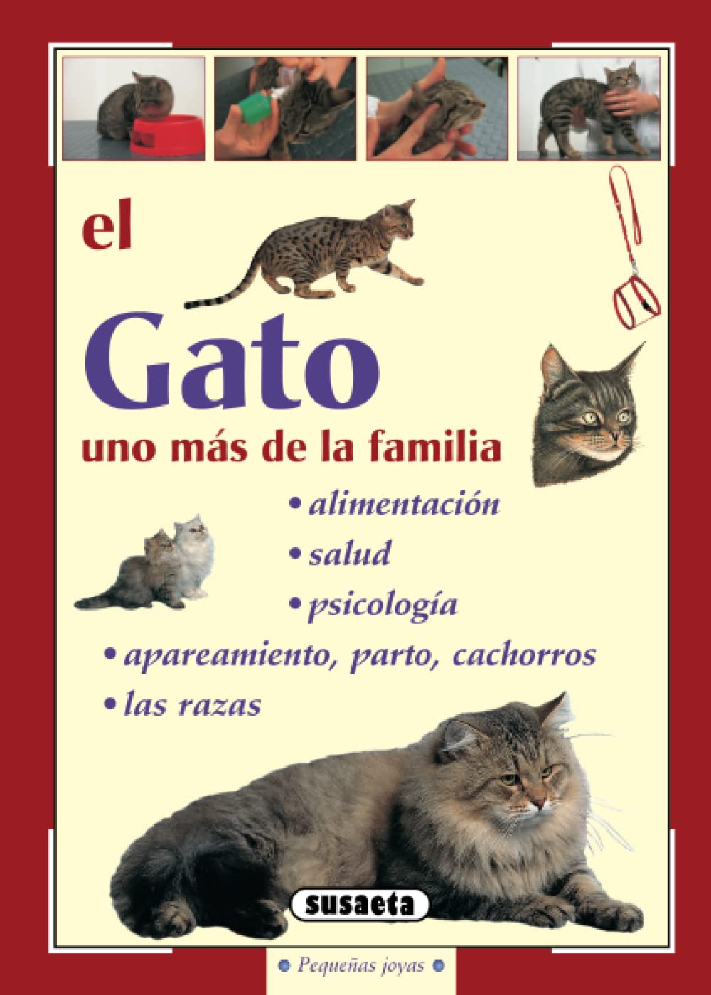 El gato (Pequeñas Joyas) Books
