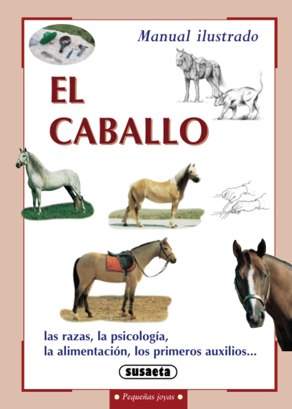 El caballo (Pequeñas Joyas) Pets