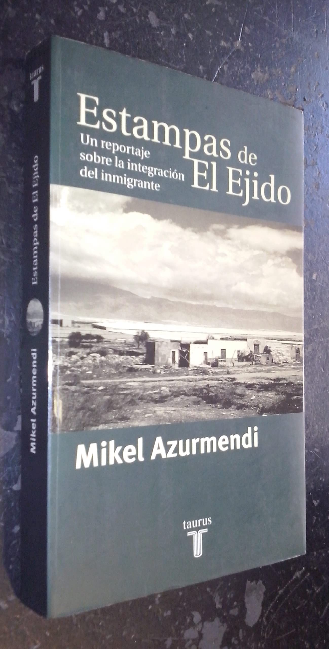 ESTAMPAS DE EL EJIDO. UN REPORTAJE SOBRE LA INTEGRACION DEL EMIGRANTE Books