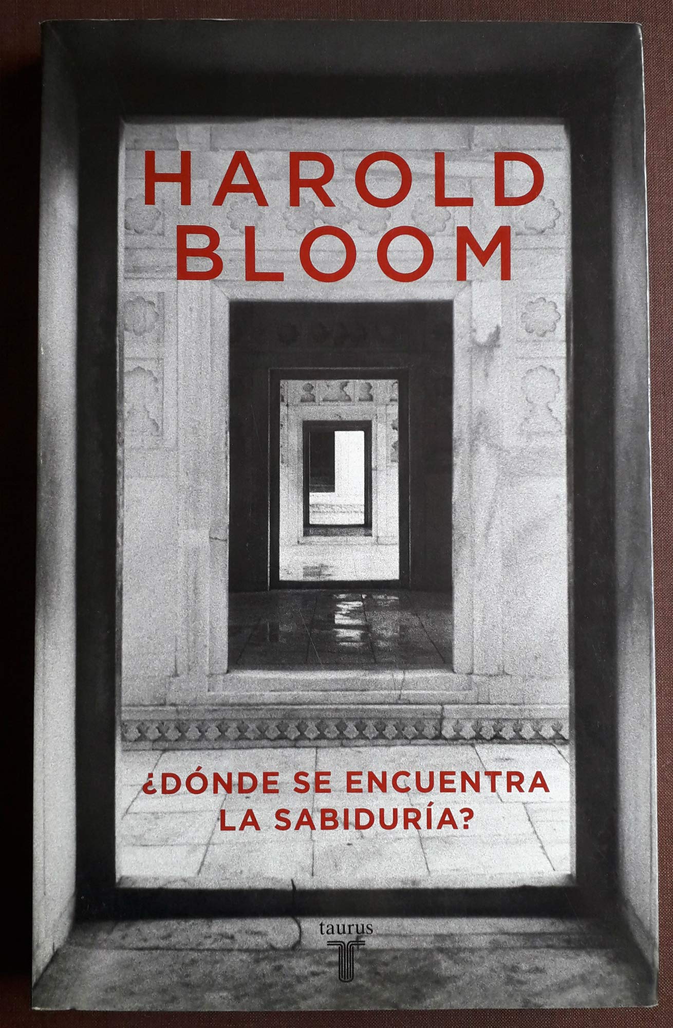 Dónde se encuentra la sabiduría (Pensamiento) Contemporary literature