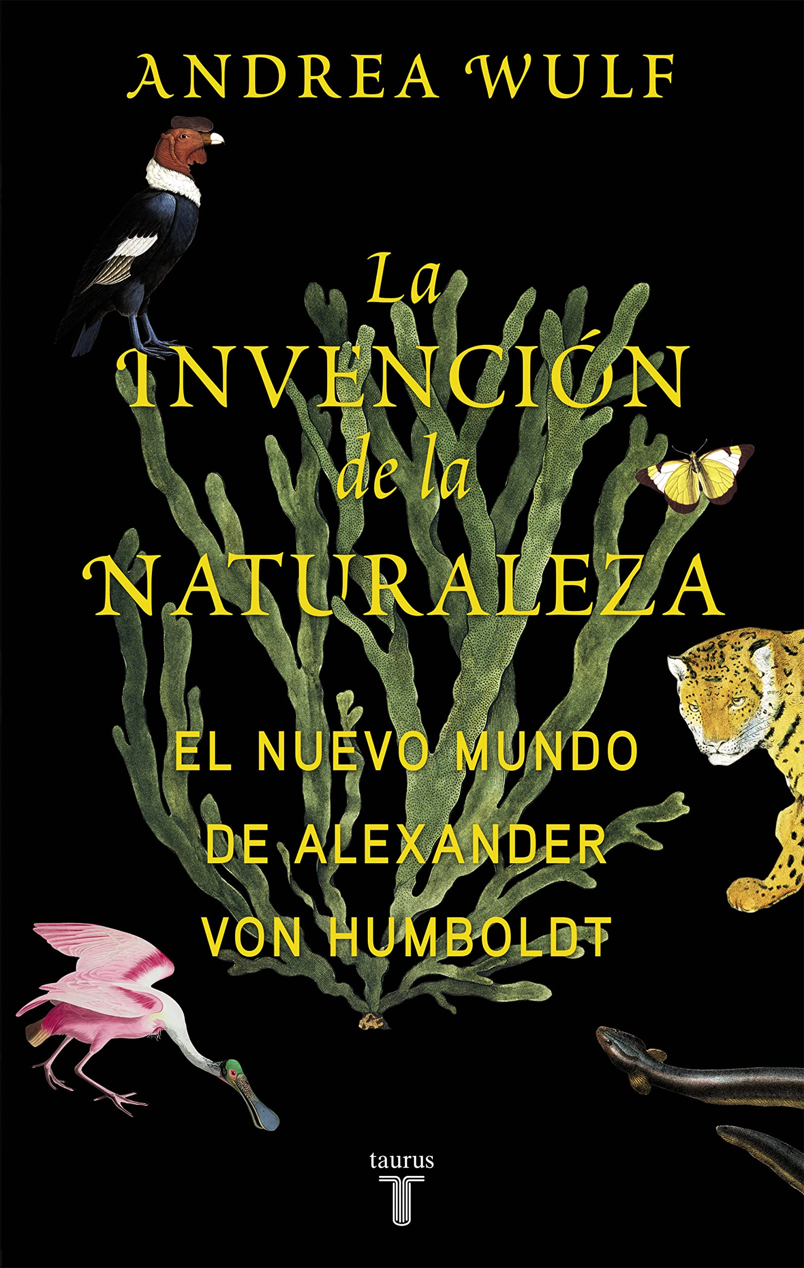 La invención de la naturaleza: El Nuevo Mundo de Alexander von Humboldt book