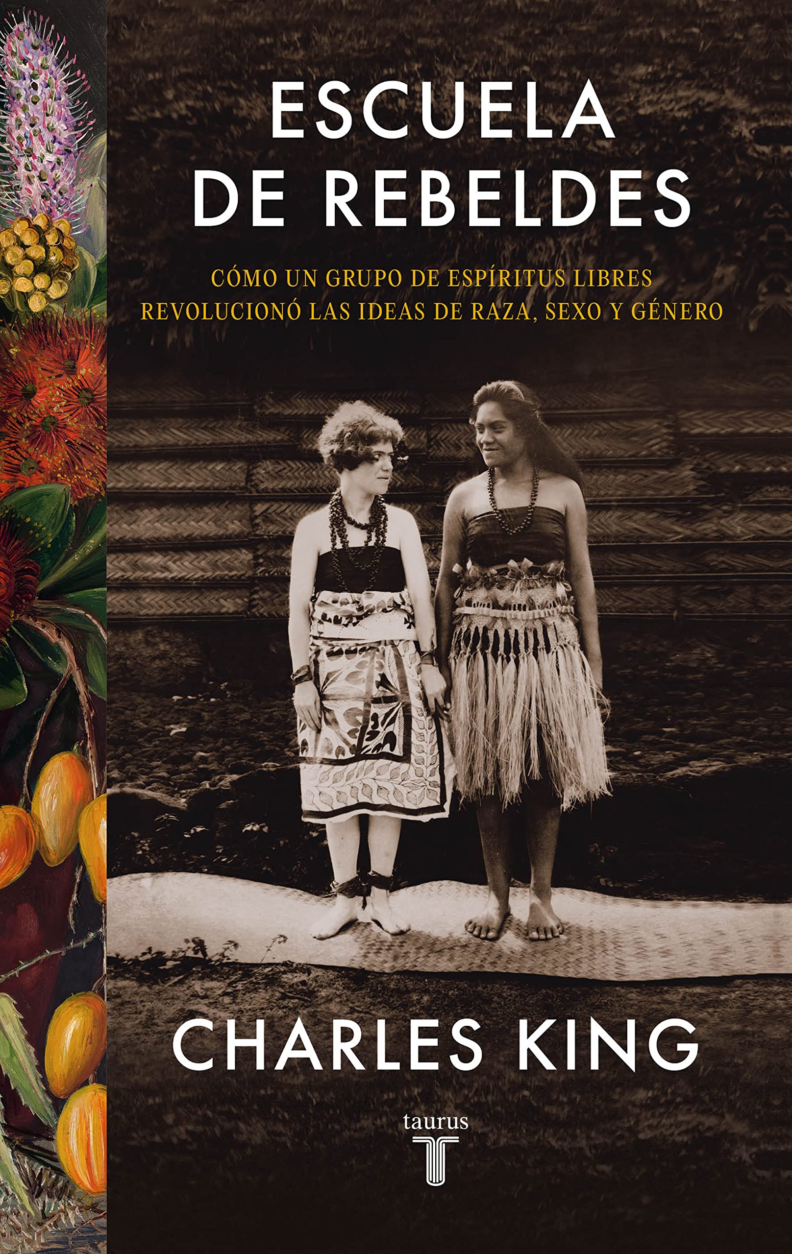 Escuela de rebeldes: Cómo un grupo de espíritus libres revolucionó las ideas de raza, sexo y género (Historia) Books
