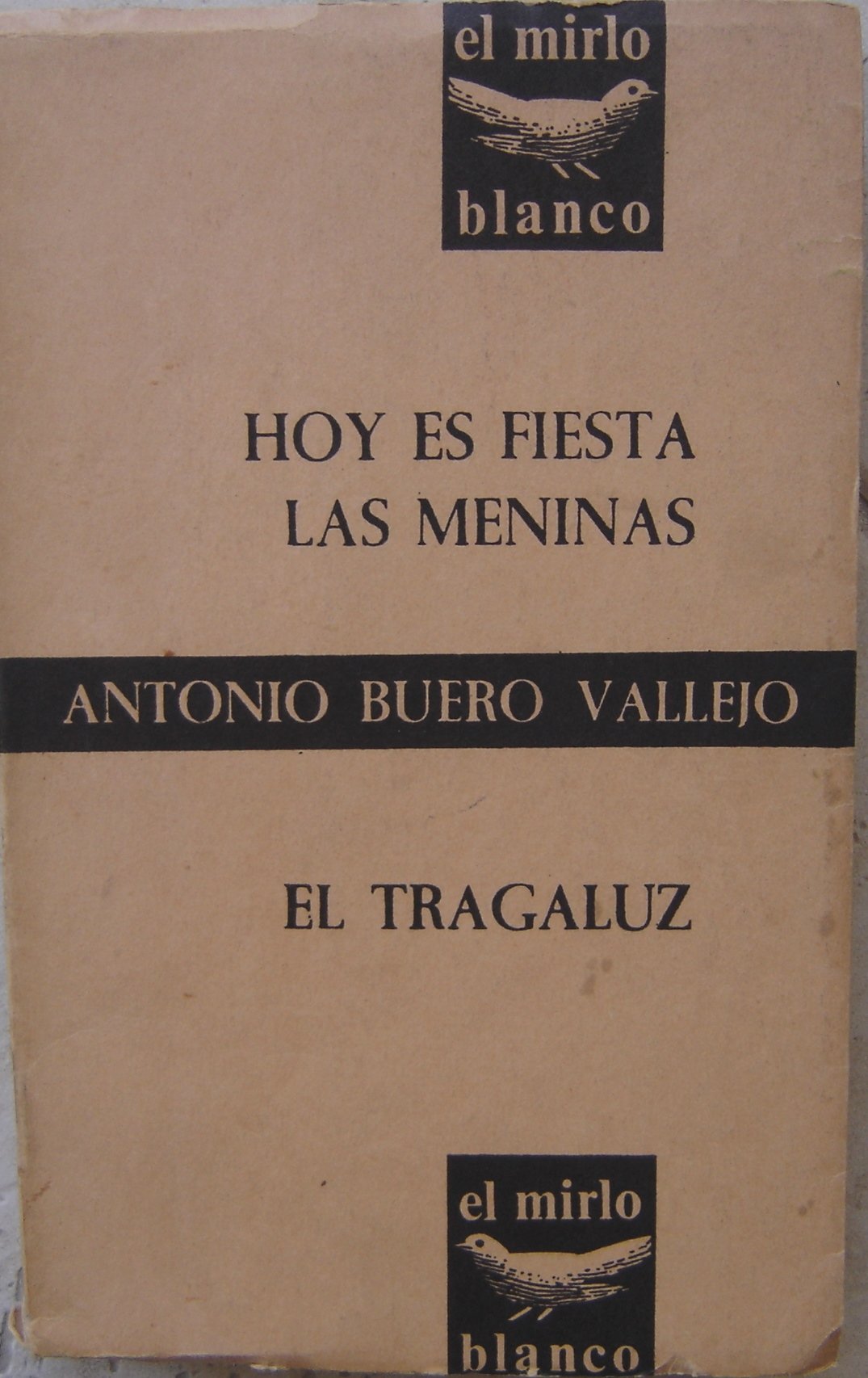 Hoy es fiesta; Las Meninas. El tragaluz book