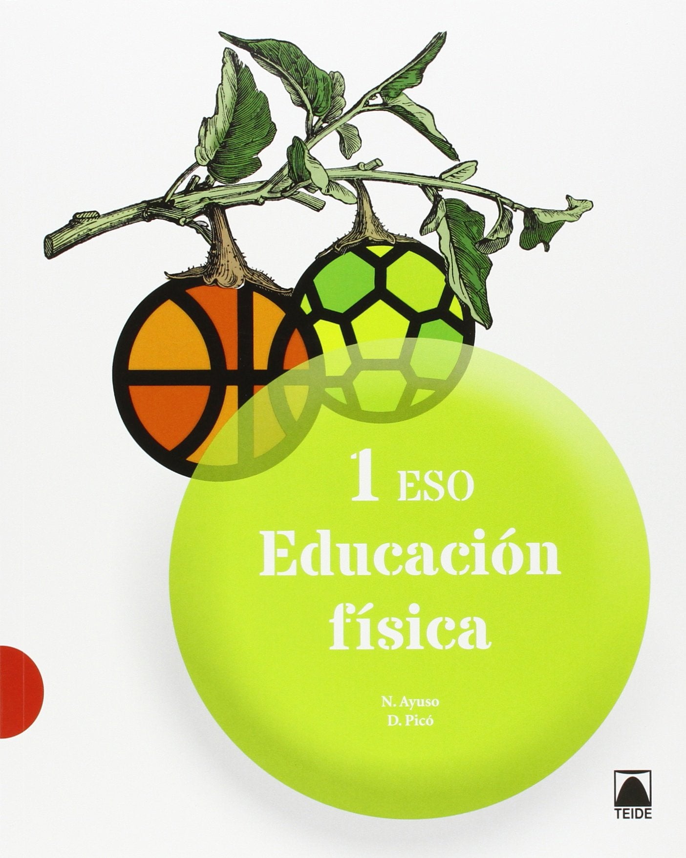 Educación Física 1 ESO book