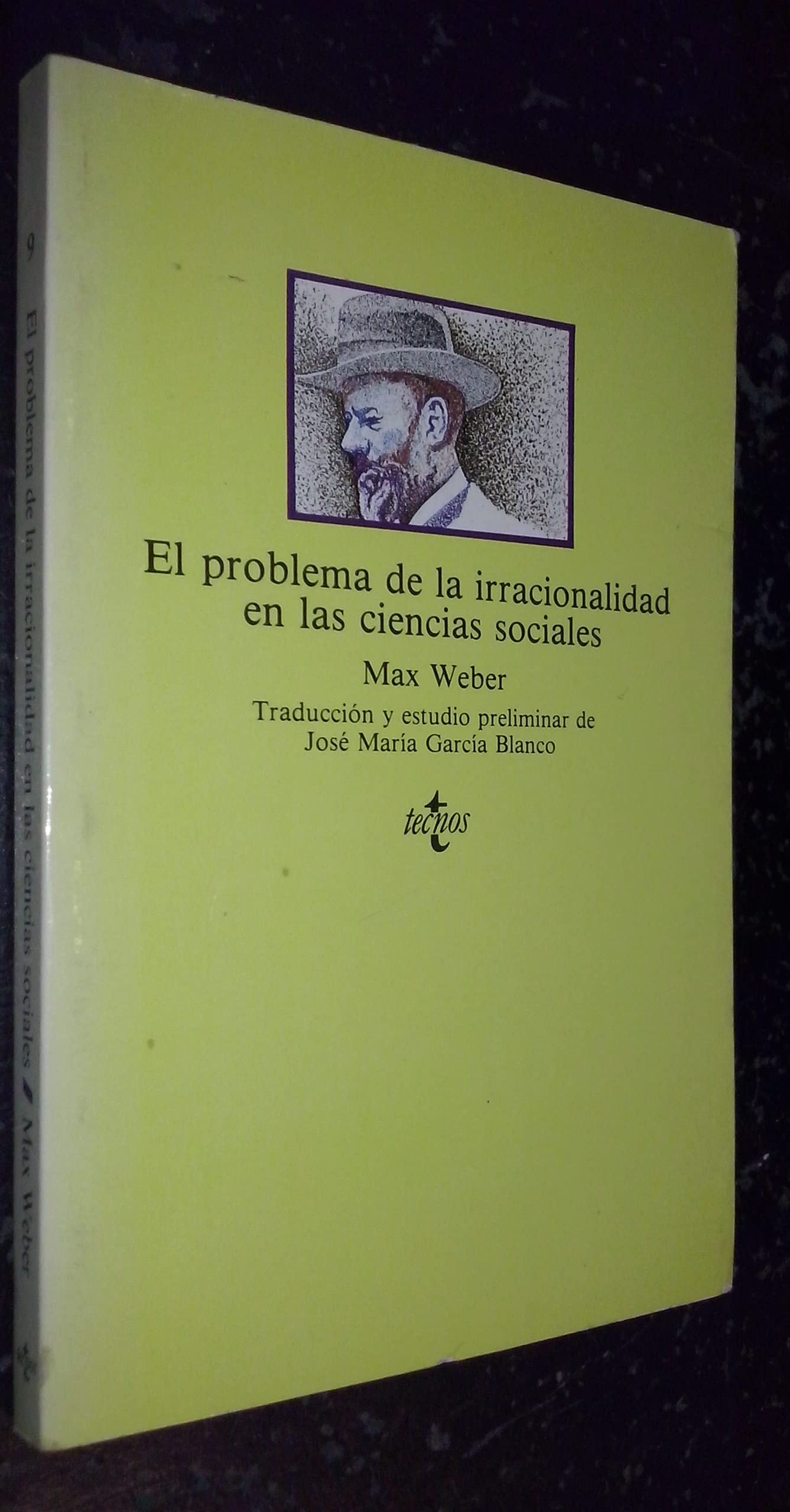 El Problema De La Irracionalidad En Las Ciencias Sociales / the Problem of Irrationality in the Social Sciences book