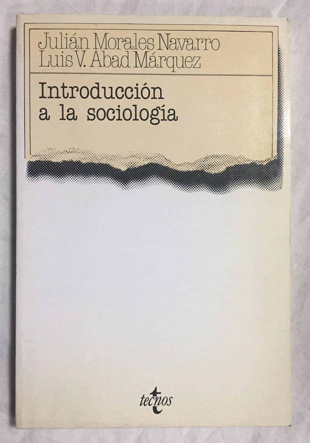 Introduccion a la sociologia / Introduction to Sociology book