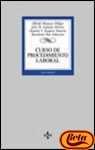 Curso de procedimiento laboral / Course of work procedure (Derecho) Law