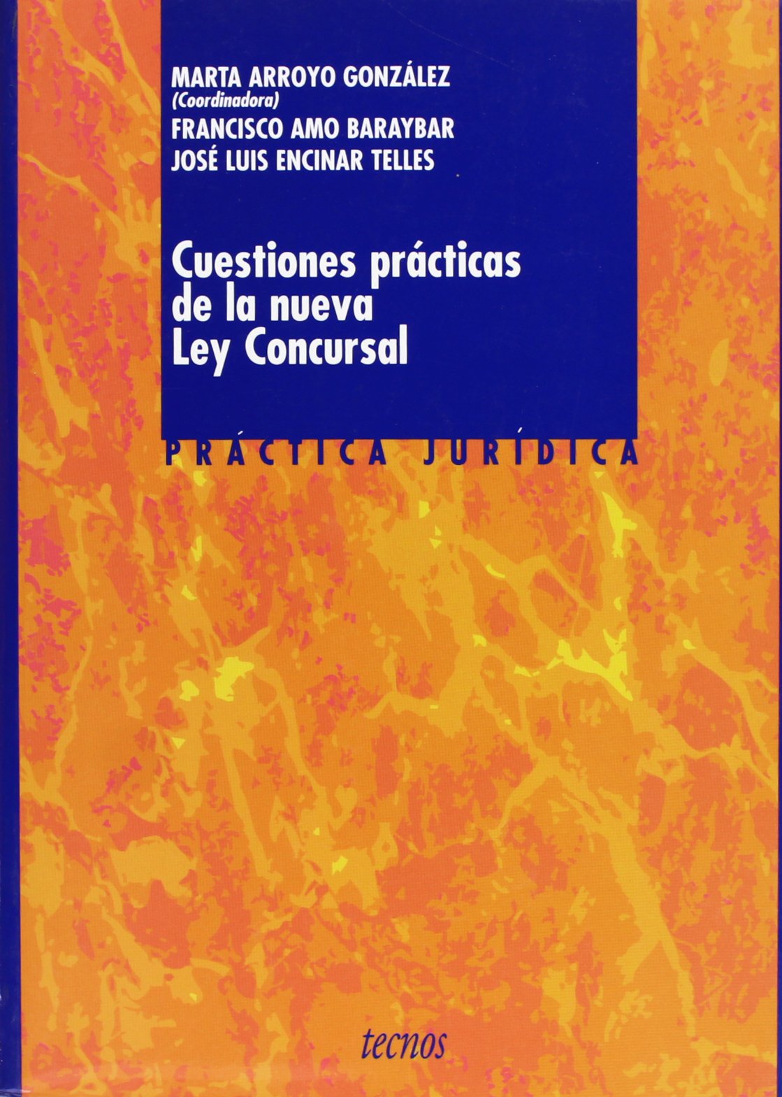 Cuestiones prácticas de la nueva Ley concursal : principales normas jurídicas y económicas (Derecho - Práctica Jurídica) Law