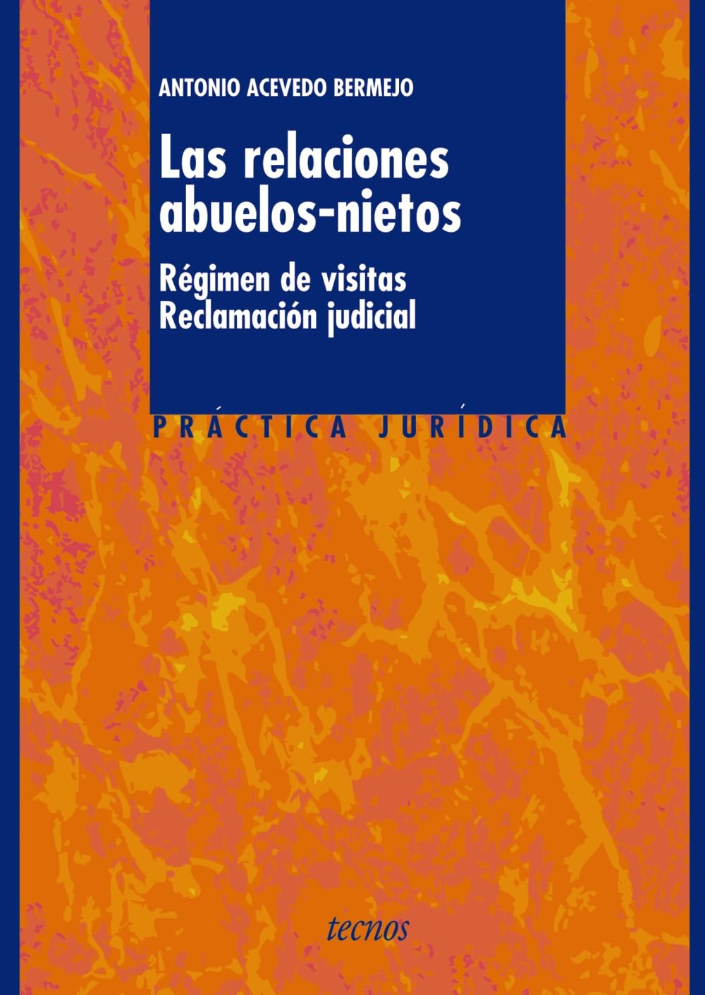 Las relaciones abuelos-nietos : régimen de visitas. Reclamación judicial (Derecho - Práctica Jurídica) Law