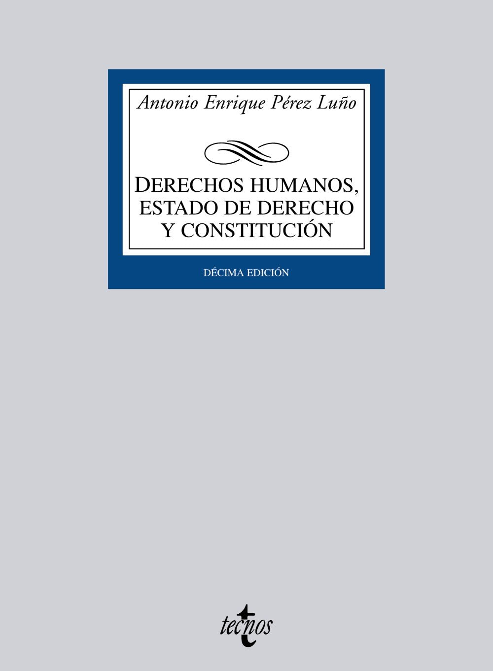 Derechos humanos, estado de derecho y constitución / Human rights, rule of law and constitution book