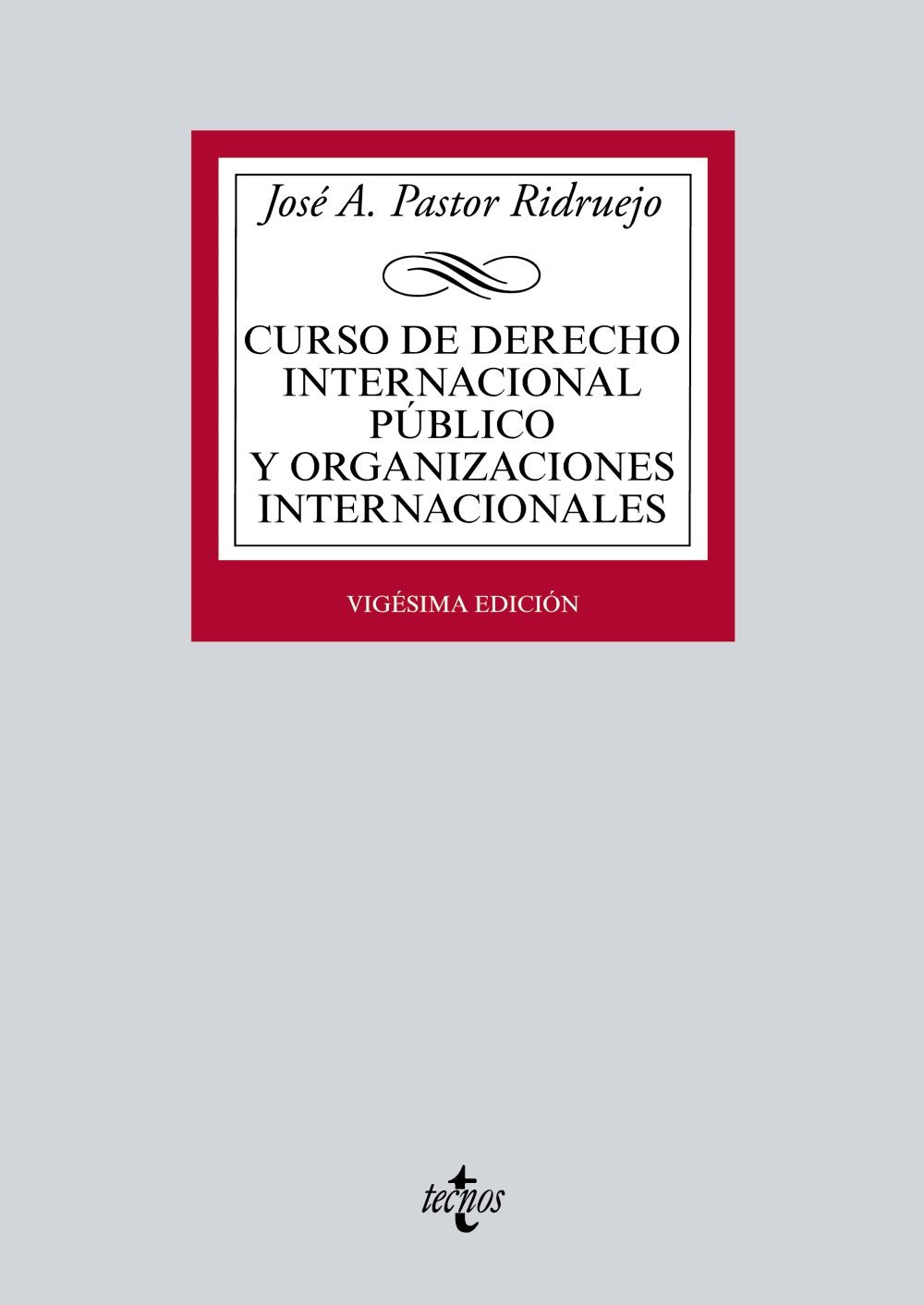 Curso de Derecho Internacional Público y Organizaciones Internacionales book