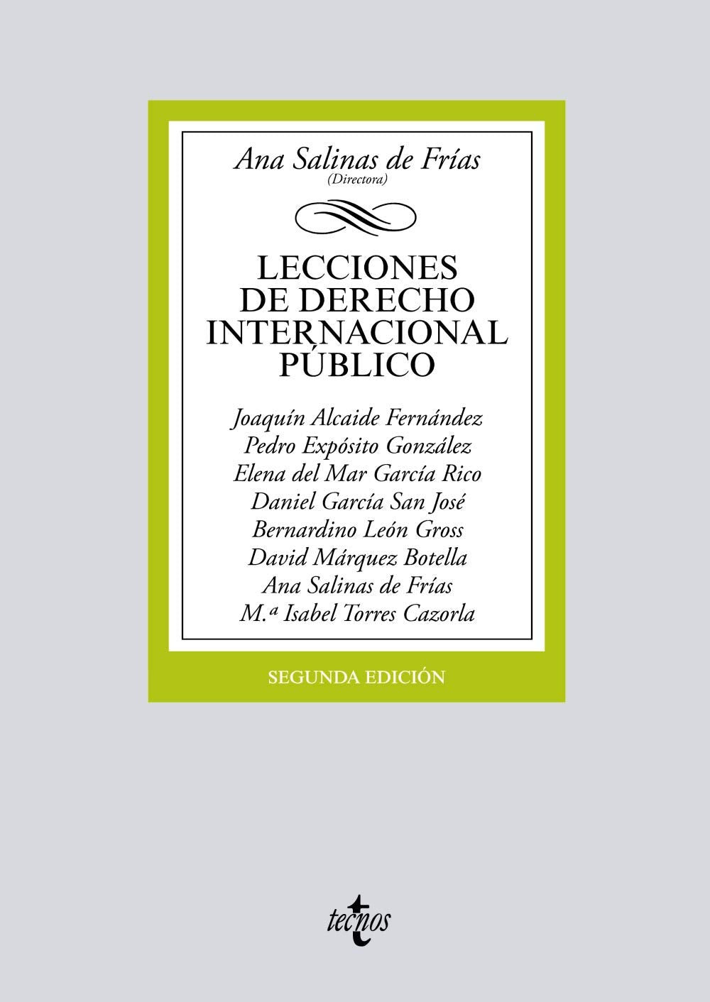 Lecciones de Derecho Internacional Público book