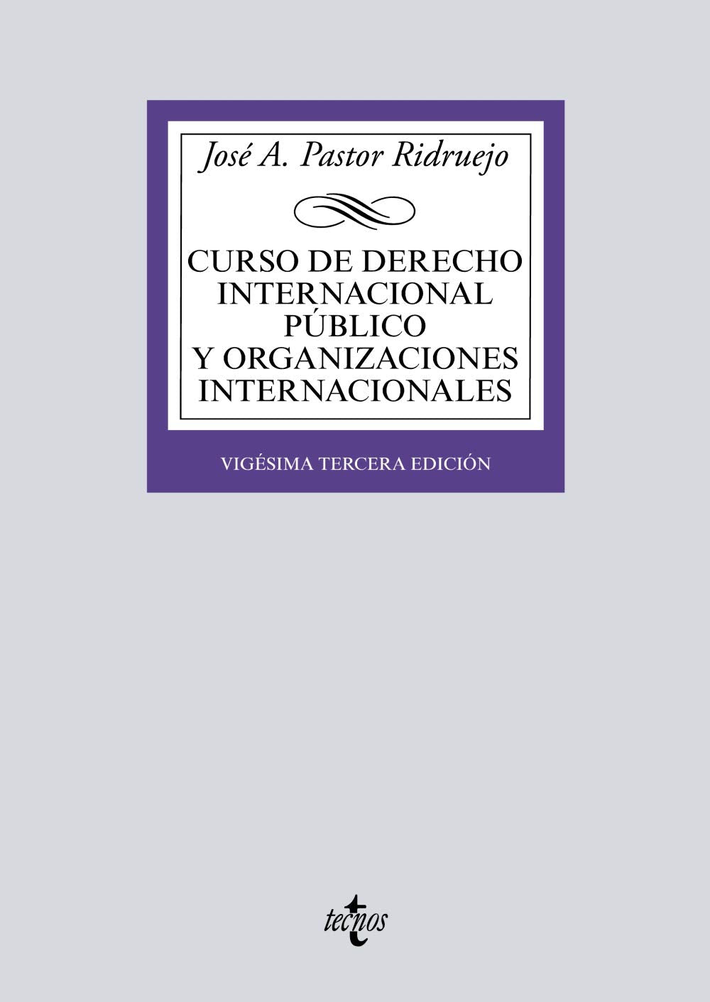 Curso de Derecho Internacional Público y Organizaciones Internacionales book