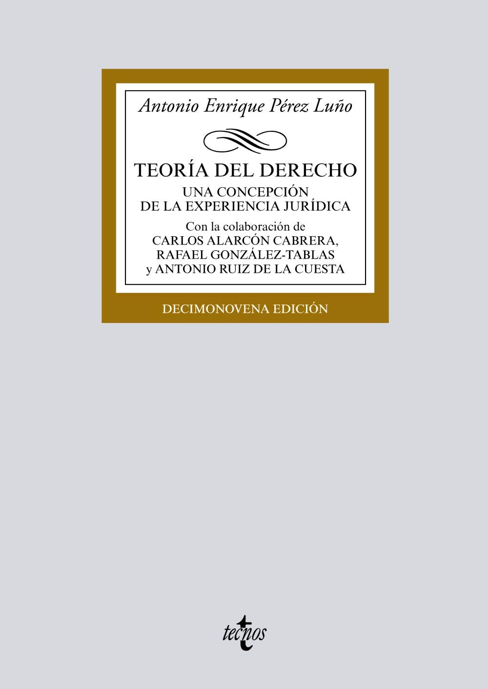 Teoría del Derecho: Una concepción de la experiencia jurídica book