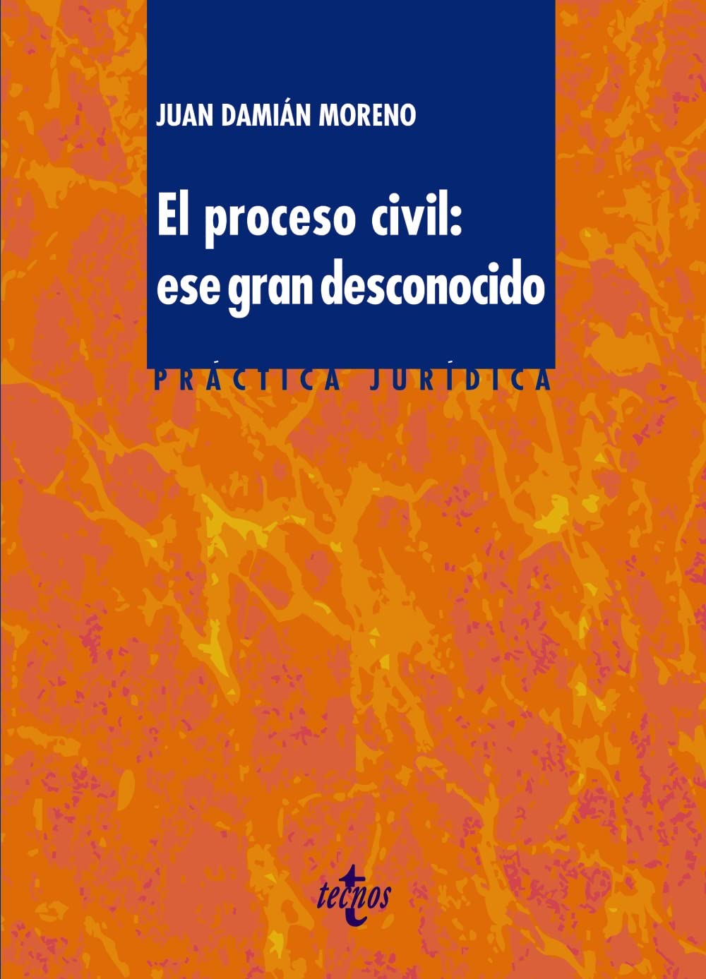 El proceso civil: ese gran desconocido (Derecho - Práctica Jurídica) Law