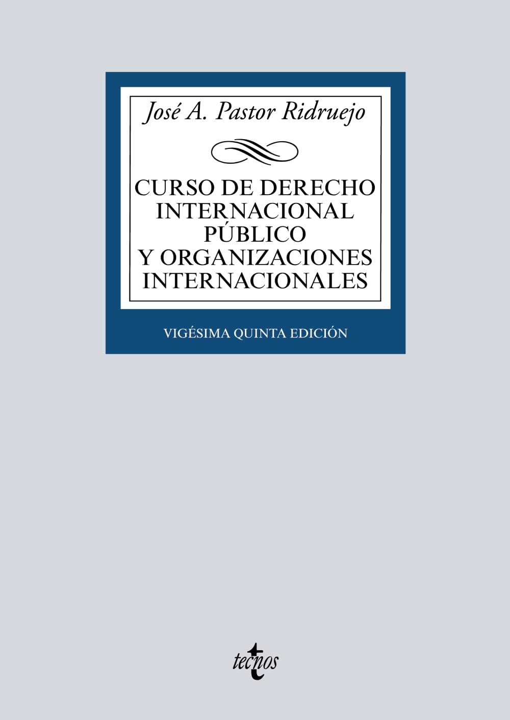 Curso de Derecho Internacional Público y Organizaciones Internacionales book
