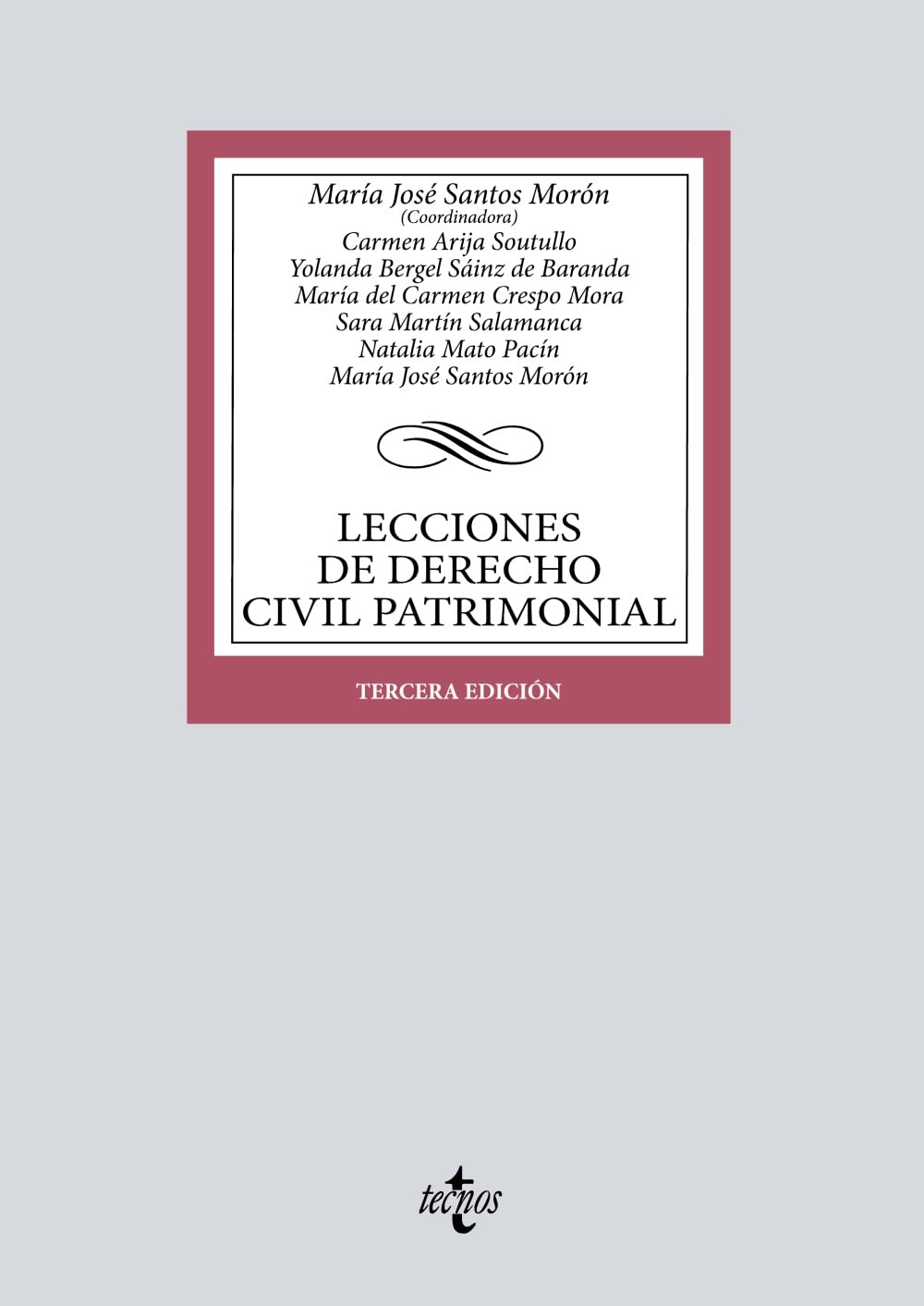 Lecciones de Derecho Civil Patrimonial book