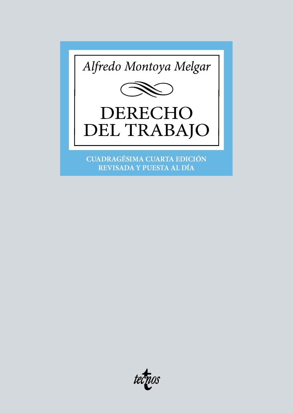 Derecho del Trabajo book