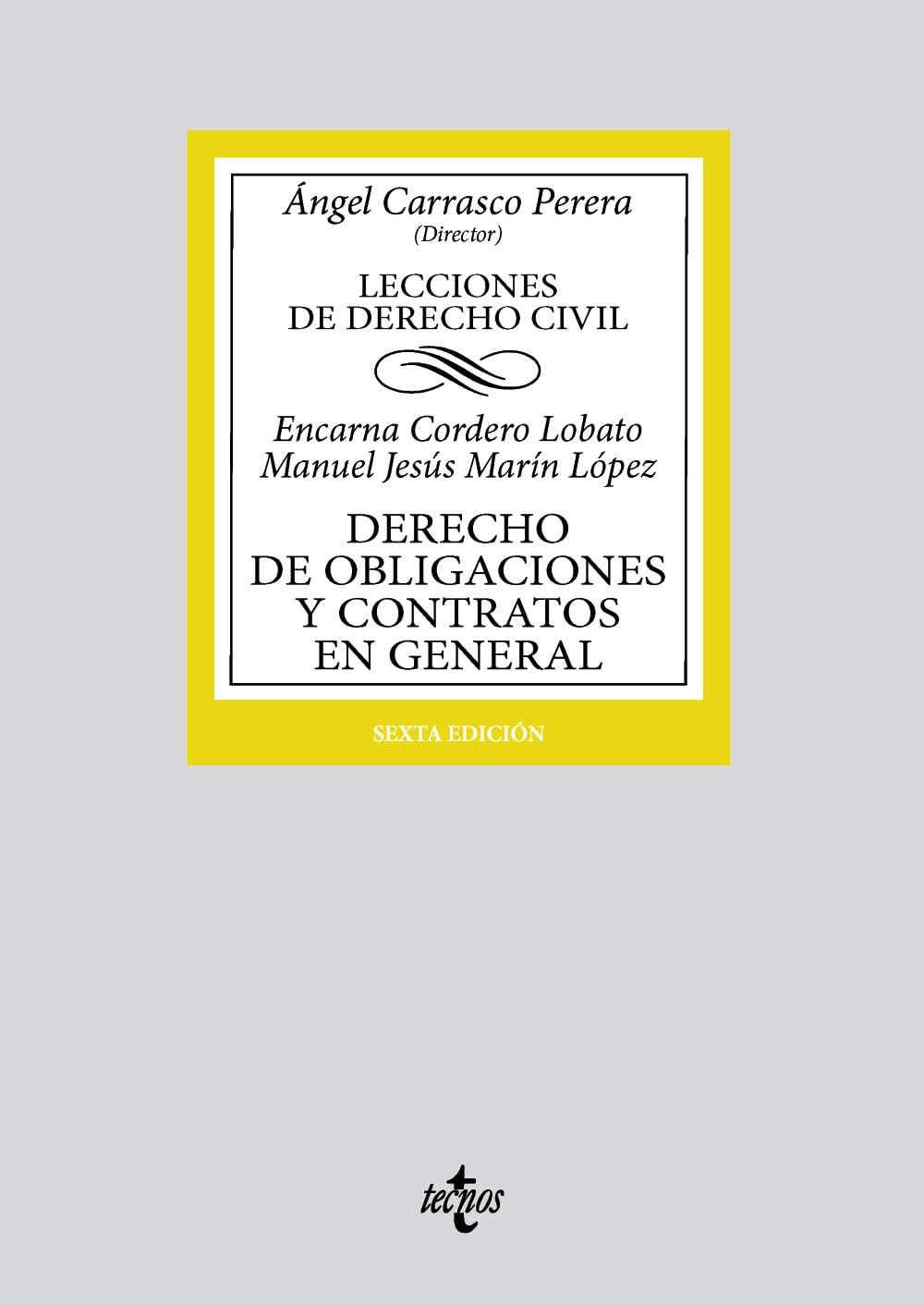 Derecho de obligaciones y contratos en general: Lecciones de Derecho Civil book