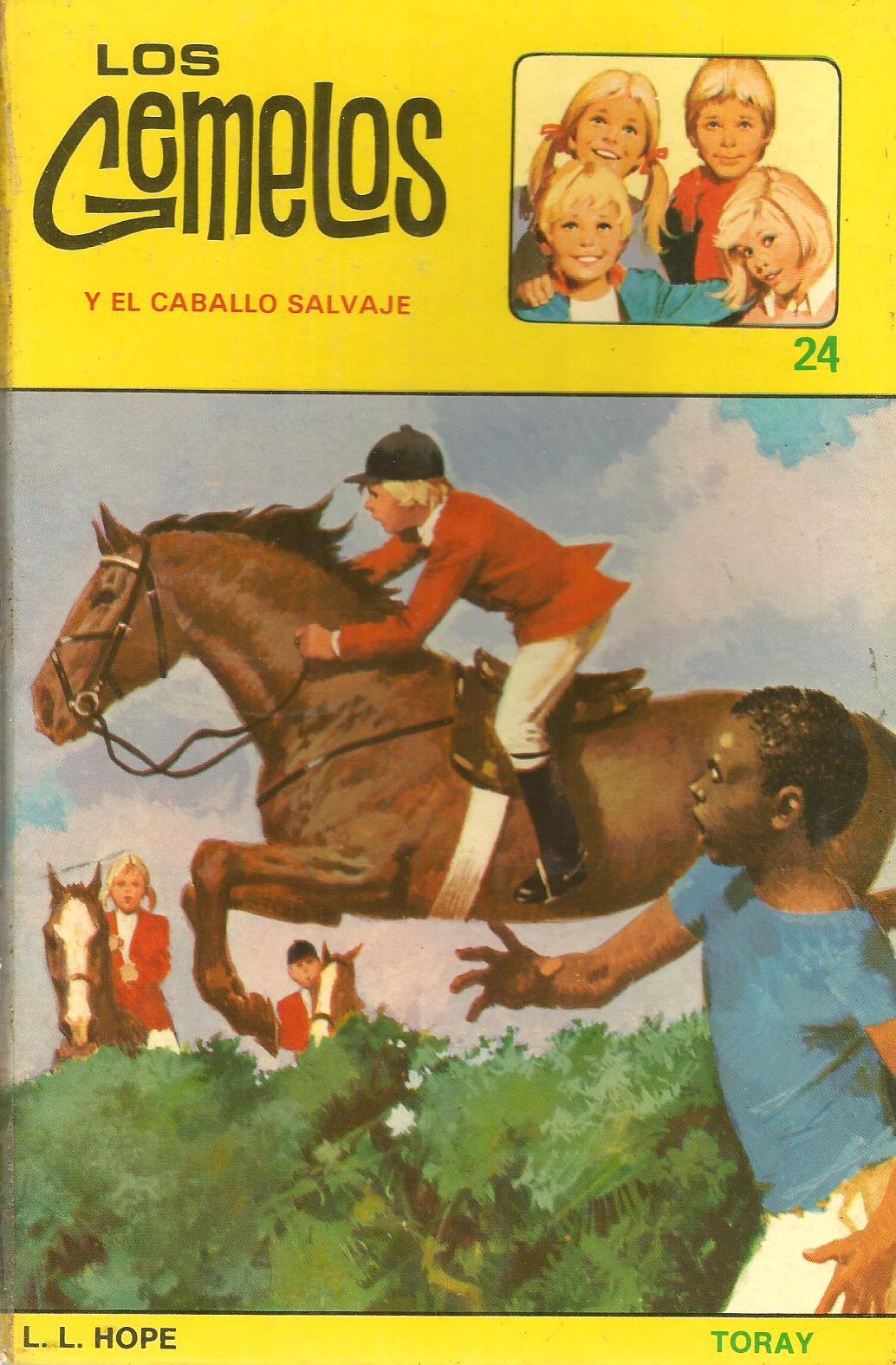 Los gemelos y el caballo salvaje book