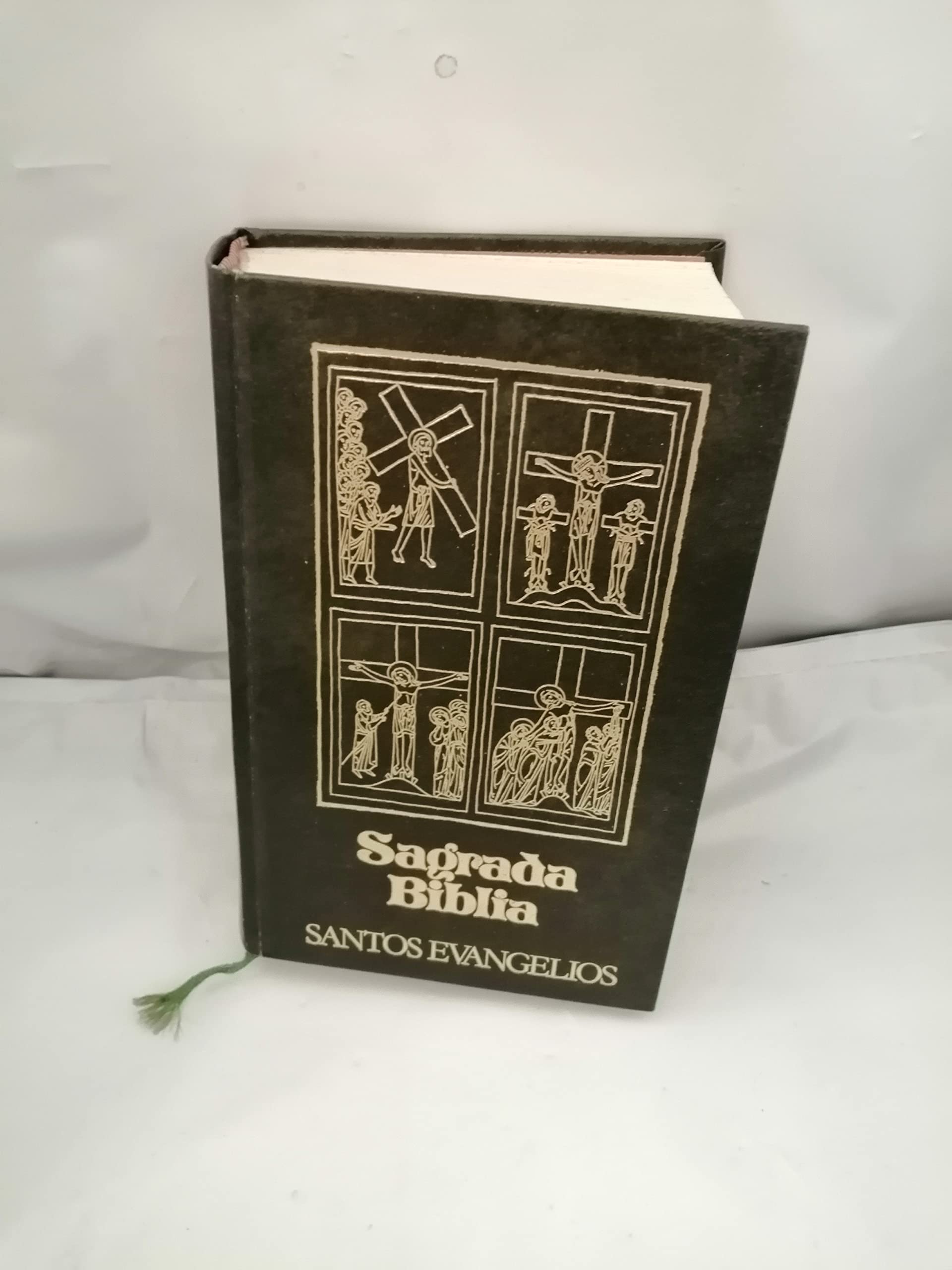 Sagrada Biblia: santos evangelios Books