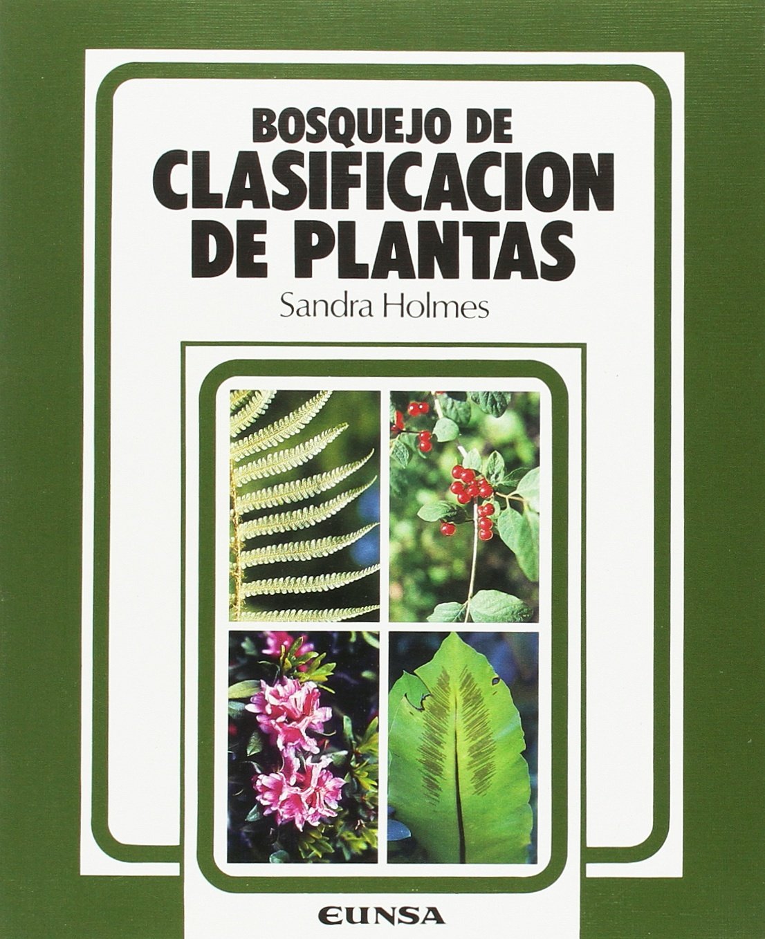 Bosquejo de clasificación de plantas (Libros de biología) Books