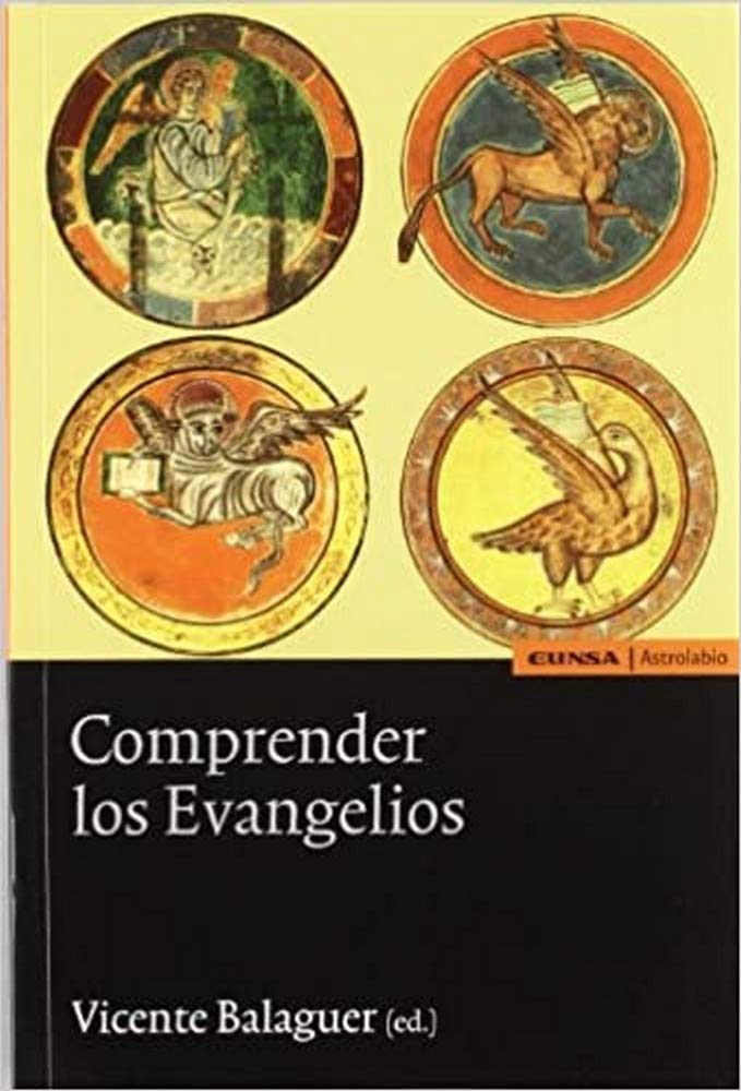 Comprender los Evangelios (Religión) Social Sciences