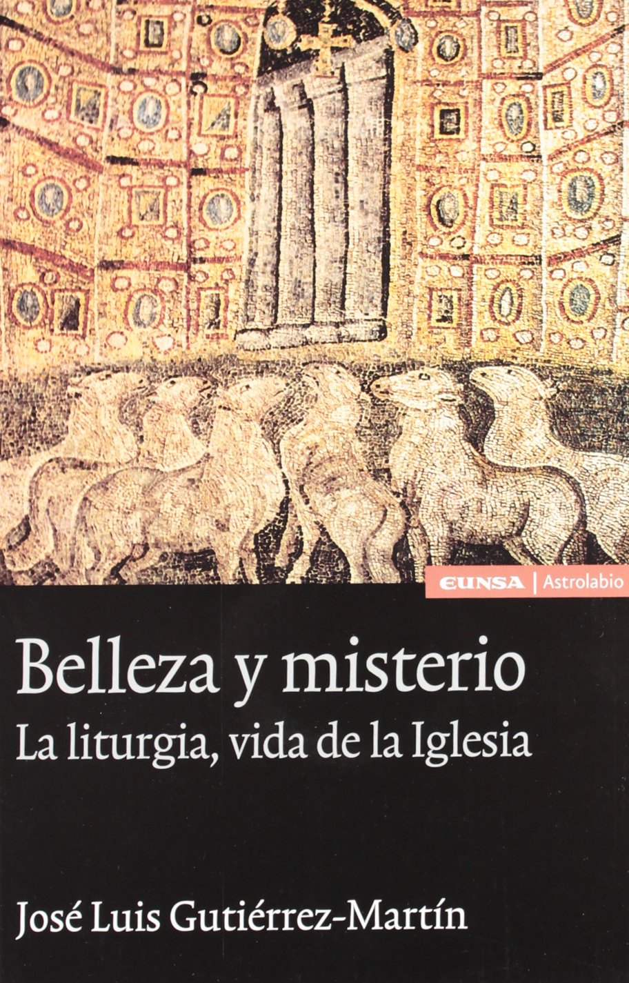 Belleza y misterio : la liturgia, vida de la Iglesia book