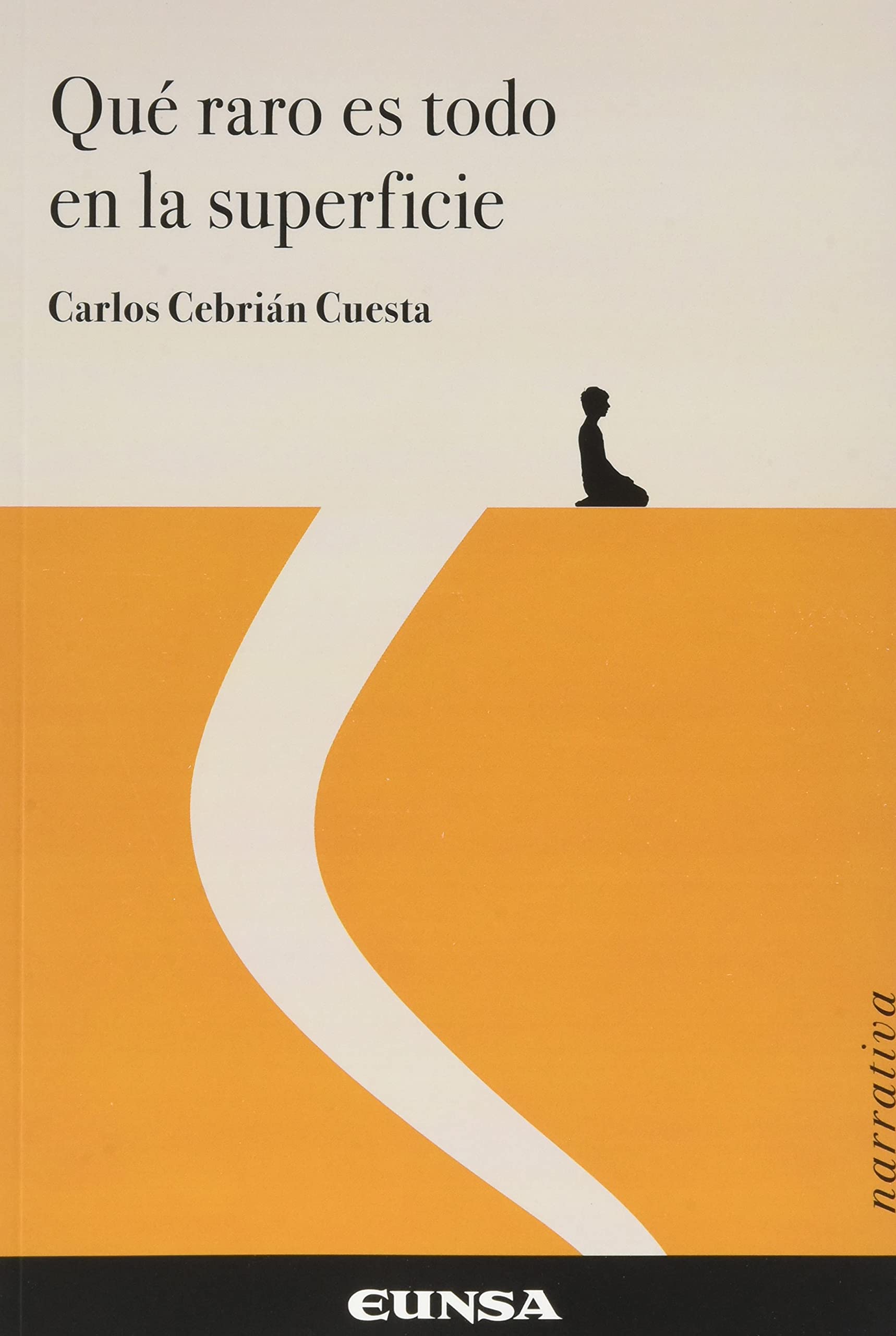 Qué raro es todo en la superficie book