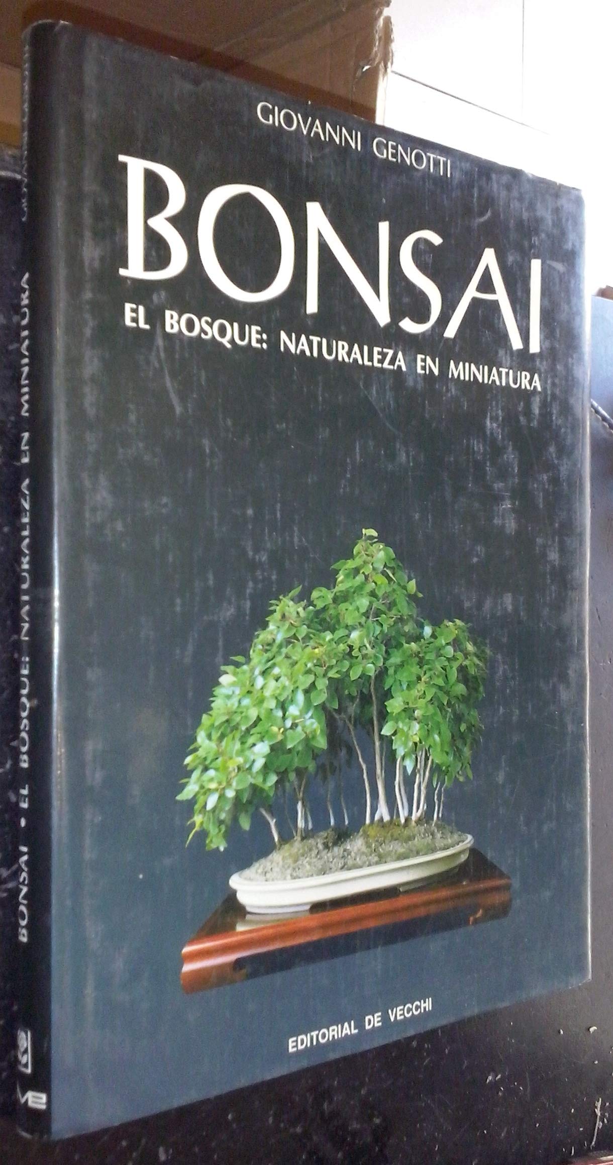 Bonsai: el bosque, naturaleza en miniatura book