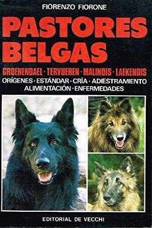 Pastores belgas book