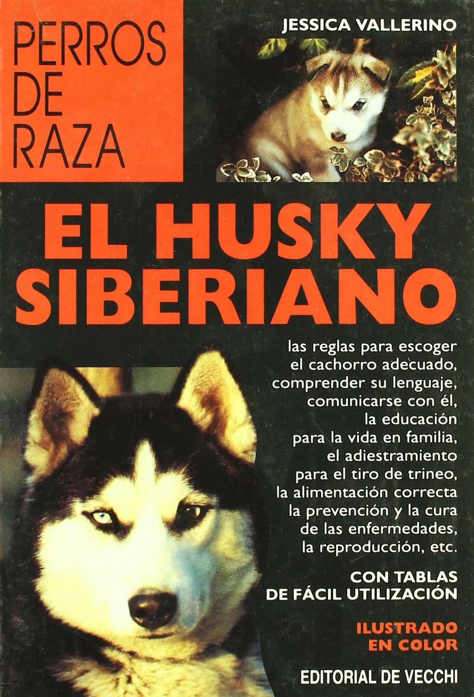 El husky siberiano Pets