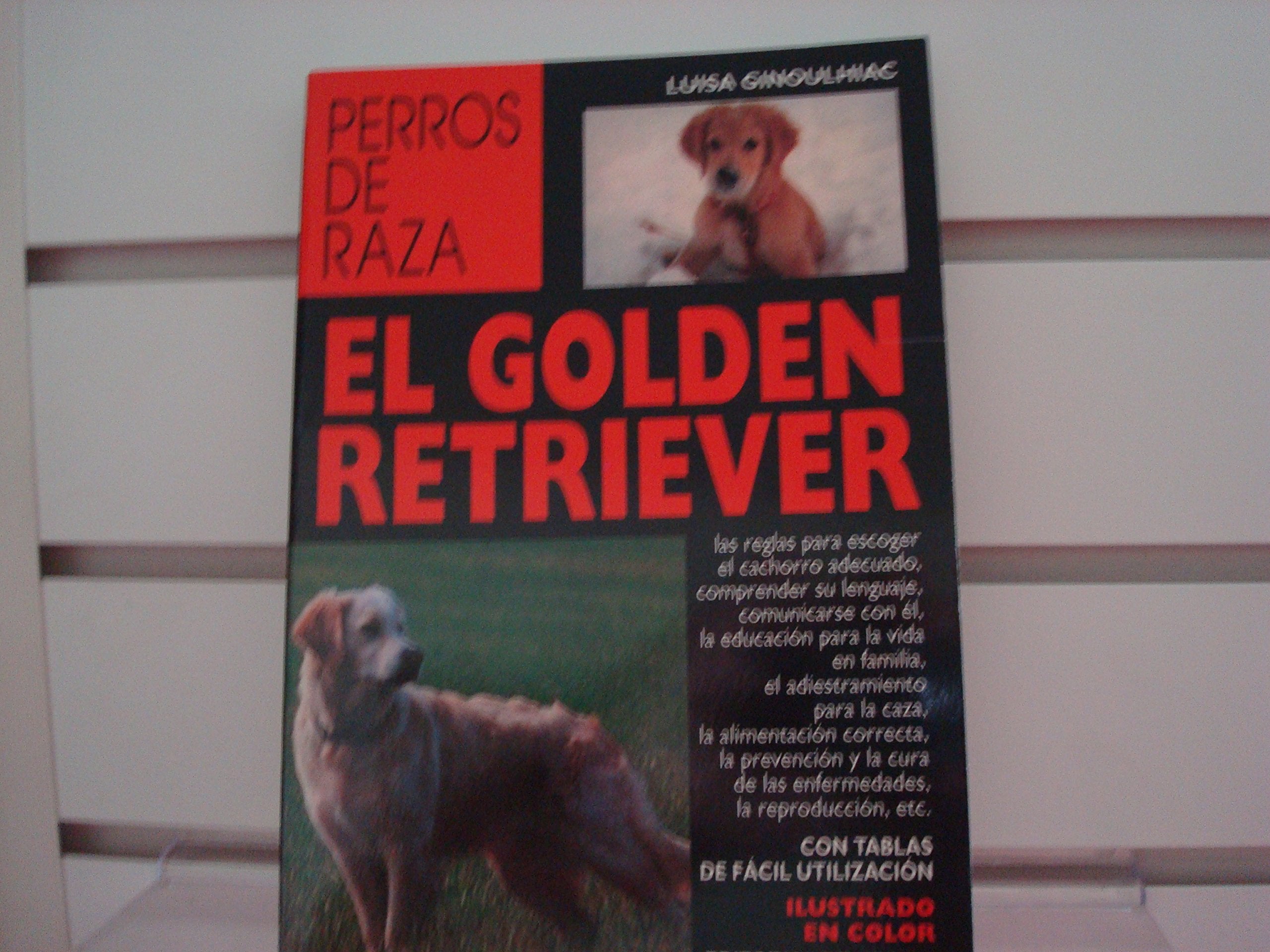 El golden retriever Business & Technology