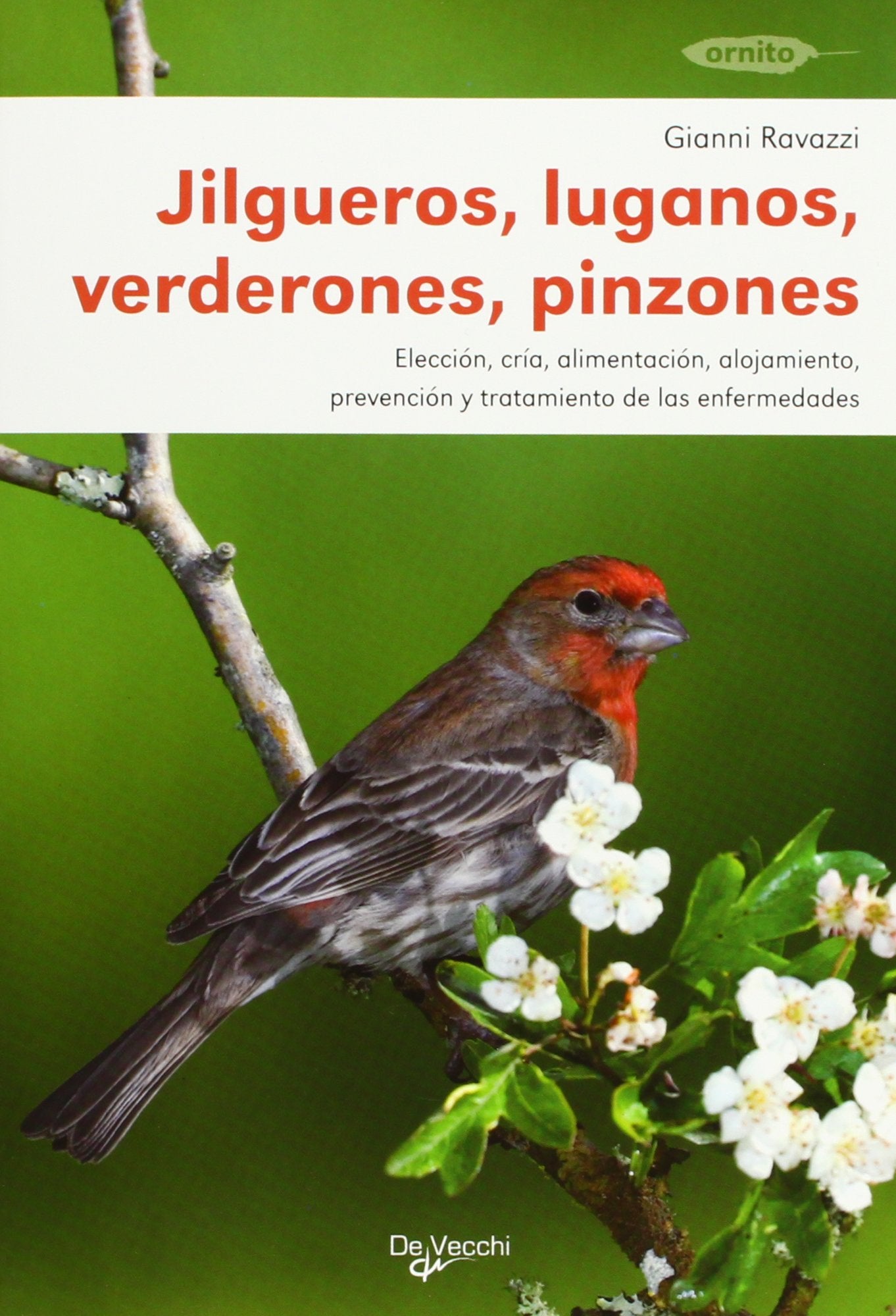 Jilgueros, luganos, verderones y pinzones book