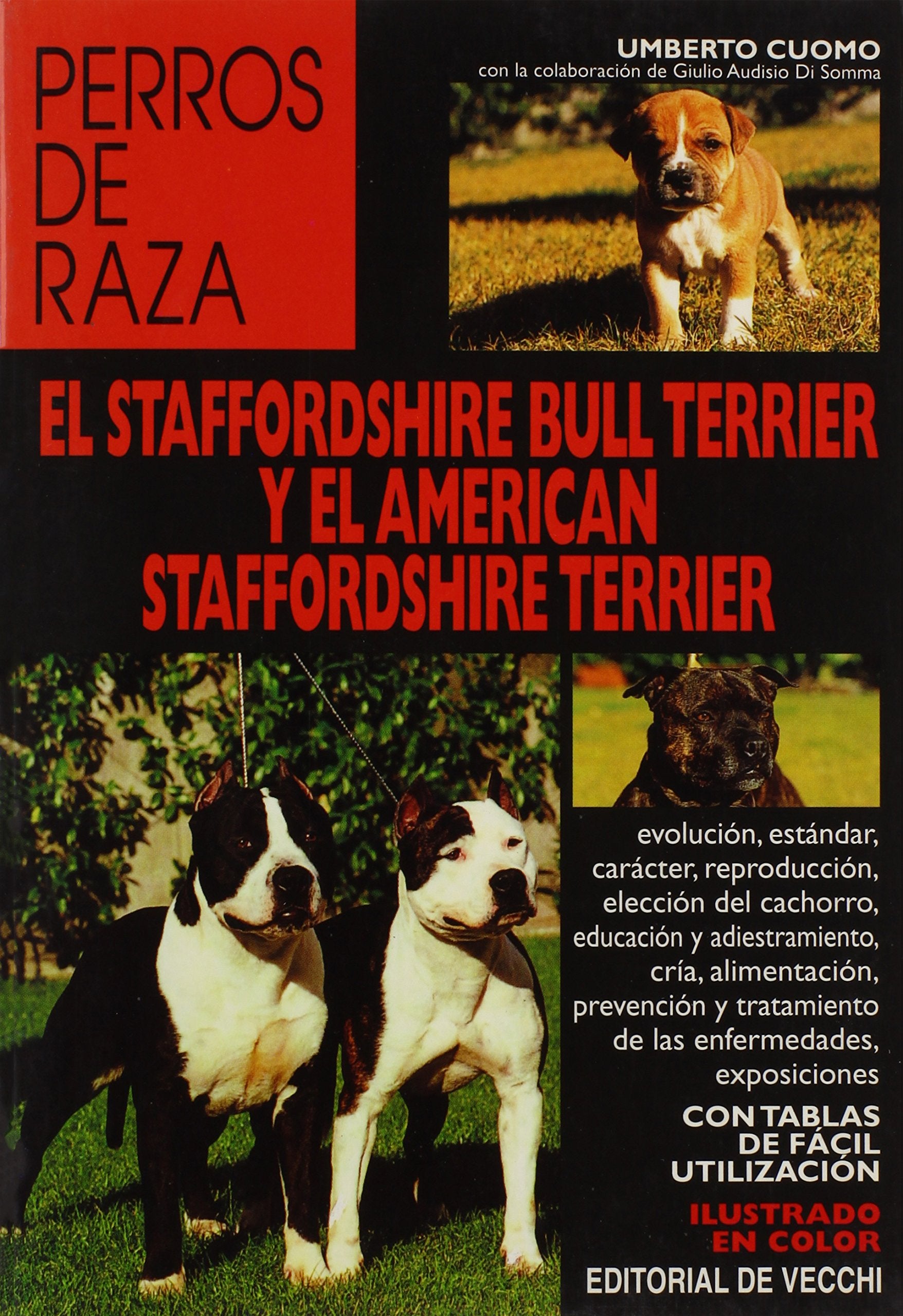 El staffordshire bull terrier y el american staffordshire terrier Pets