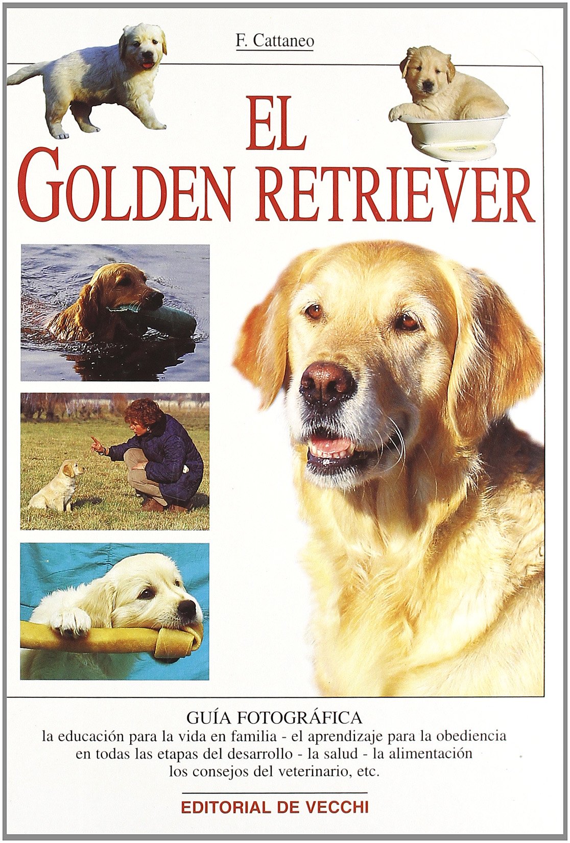 El golden retriever Business & Technology
