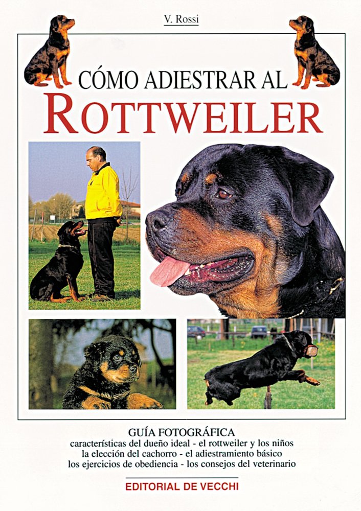 Cómo adiestrar al rottweiler Business & Technology