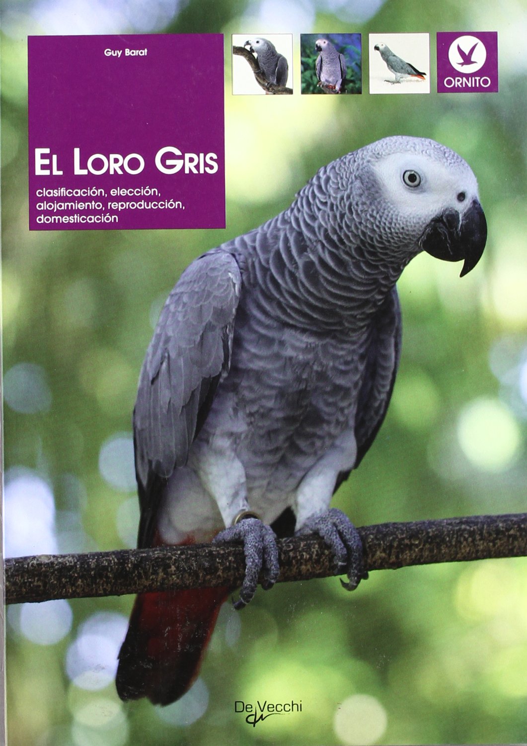 El loro gris : clasificación, elección, alojamiento, reproducción, domesticación (Animales) Books